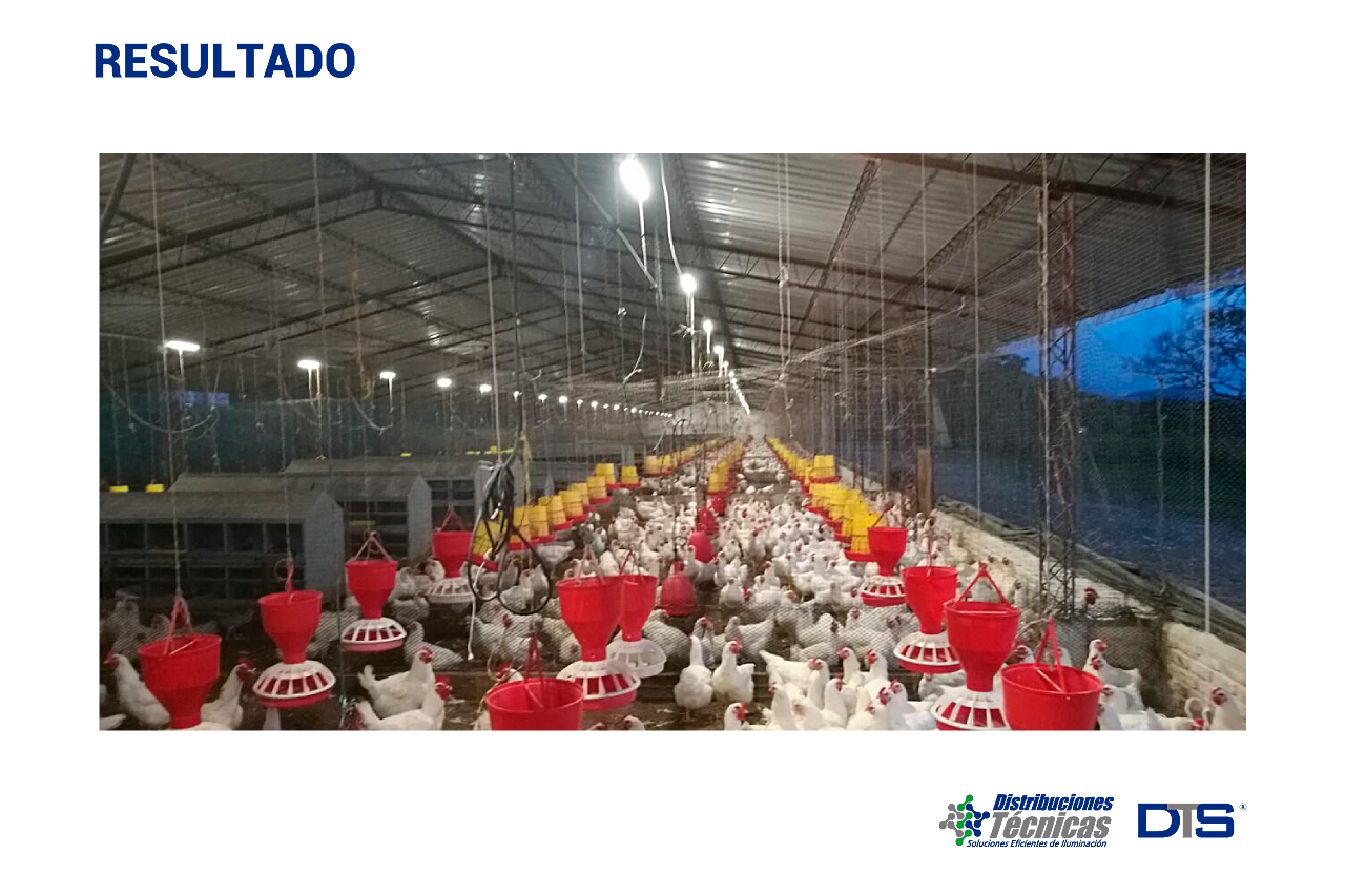 Logos-socios-1