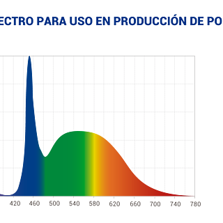 Logos-socios-1