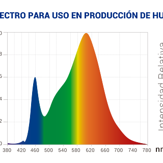 Logos-socios-1