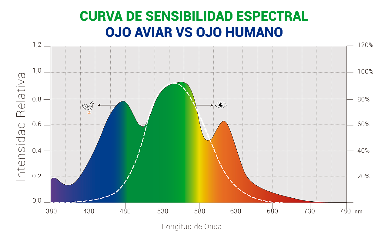 Logos-socios-1